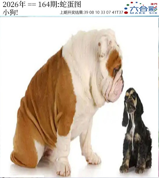 164期正版蛇蛋图[图]